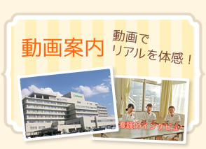 動画案内